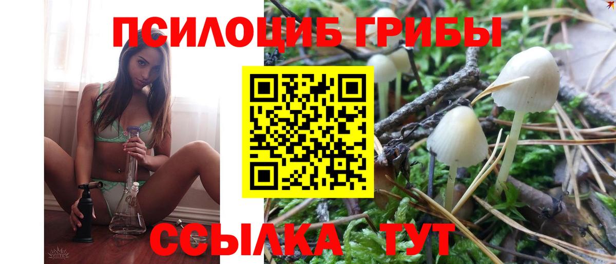 Псилоцибиновые грибы Psilocybe  закладка  Сертолово  Псилоцибиновые грибы GOLDEN TEACHER  Вход с VPN 